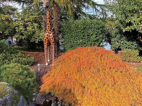 Beautiful Landscaping