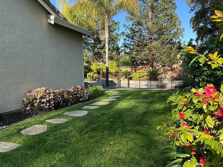 Lush grassy area