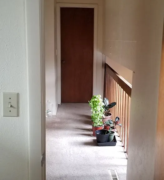 859 Roxwood Ln — Photo 13