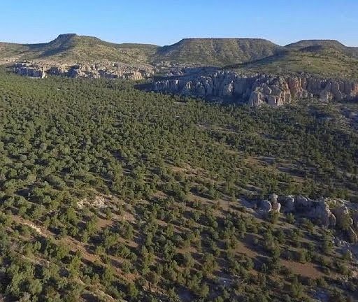 2nd image of X S Knight Creek Rd