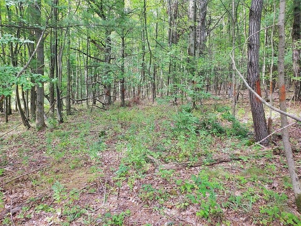 2nd image of 3811 Struble Rd