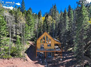 162 Kernite Ln, Divide, CO 80814