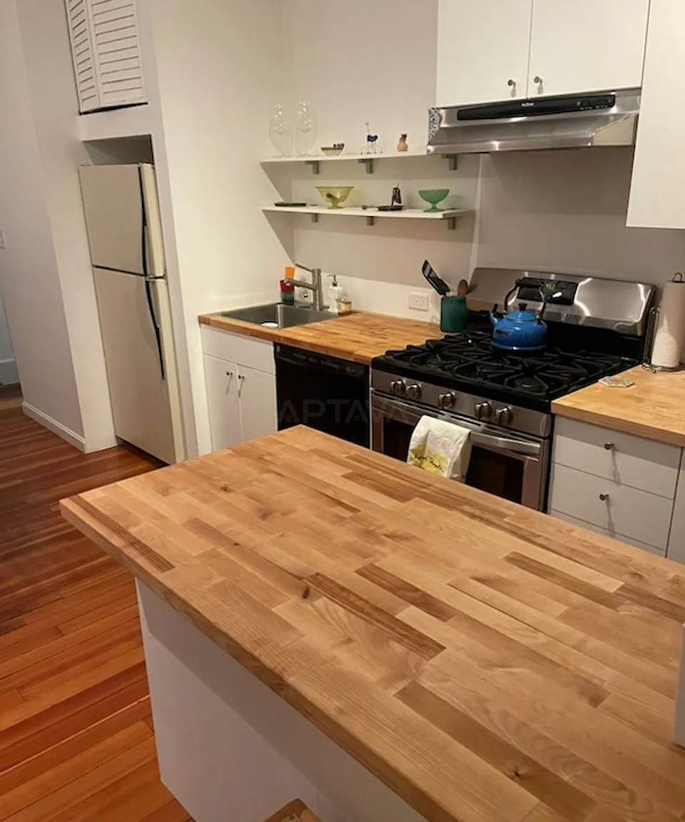 Cambridgeport / Central Square area, 2 bedroom, 1 bathroom apartment — Photo 3