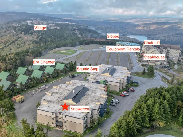 215B Snowcre St, Snowshoe, WV 26209