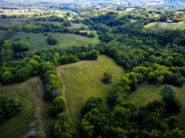 0 Snake Ridge Rd, Sharpsburg, KY 40374