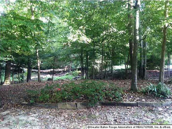 4th image of 5828 Bristle Cone Ct