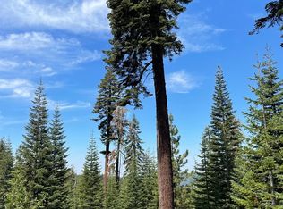 28 Prather Meadow Rd, Arnold, CA 95223