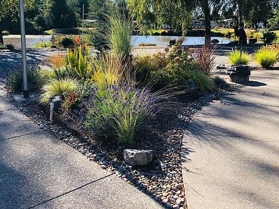 Our front walkway