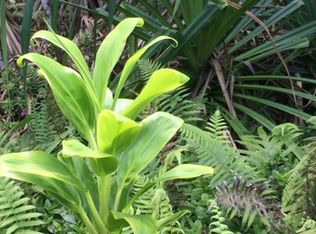 Opakapaka St LOT 1653, Pahoa, HI 96778