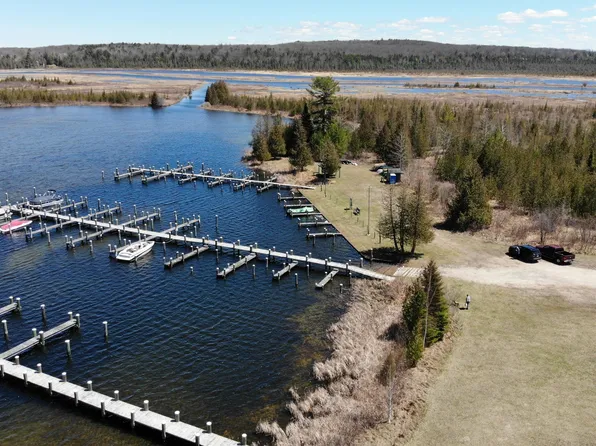 3834 Lake Marina Dr, Indian River, MI 49749