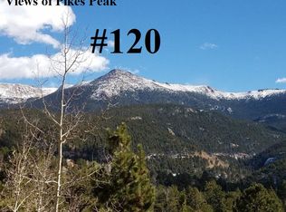 82 Primrose Ln #120, Divide, CO 80814