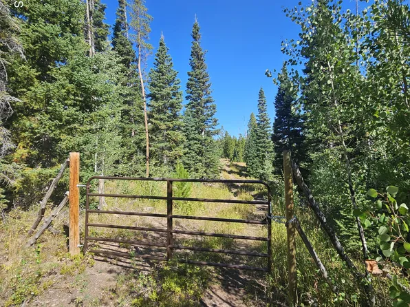 4863 County Road 14S, Kremmling, CO 80459