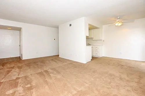9802 Bloomfield St — Photo 16