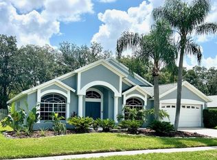 15029 Meadowlake St, Odessa, FL 33556
