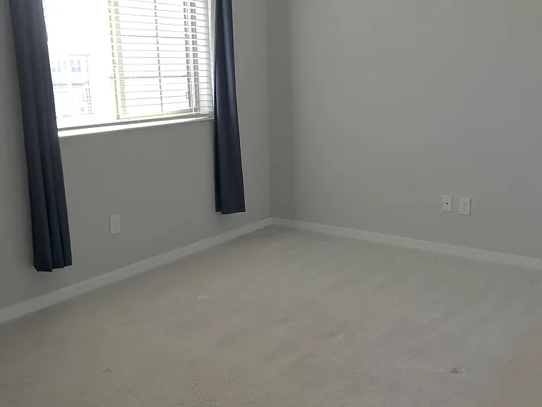 1214 Water Iris Way — Photo 4