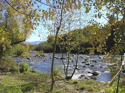 Pristine Riverfront Property!