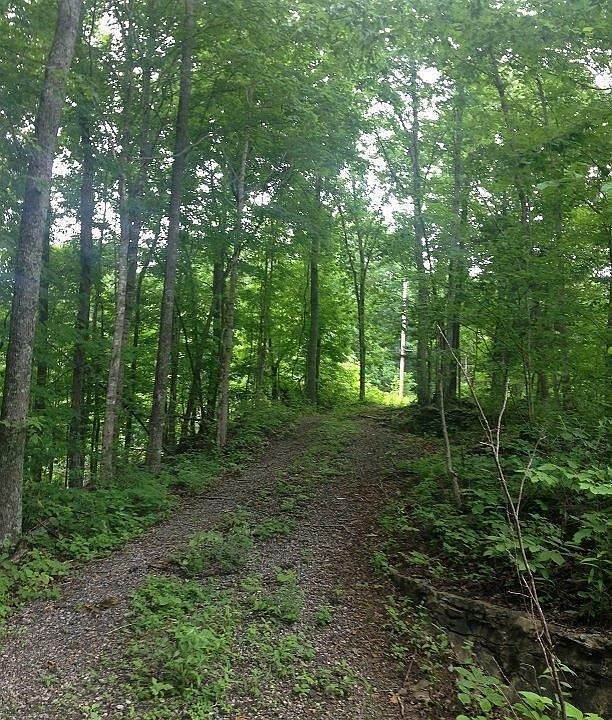 1st image of 33 State Highway 1424