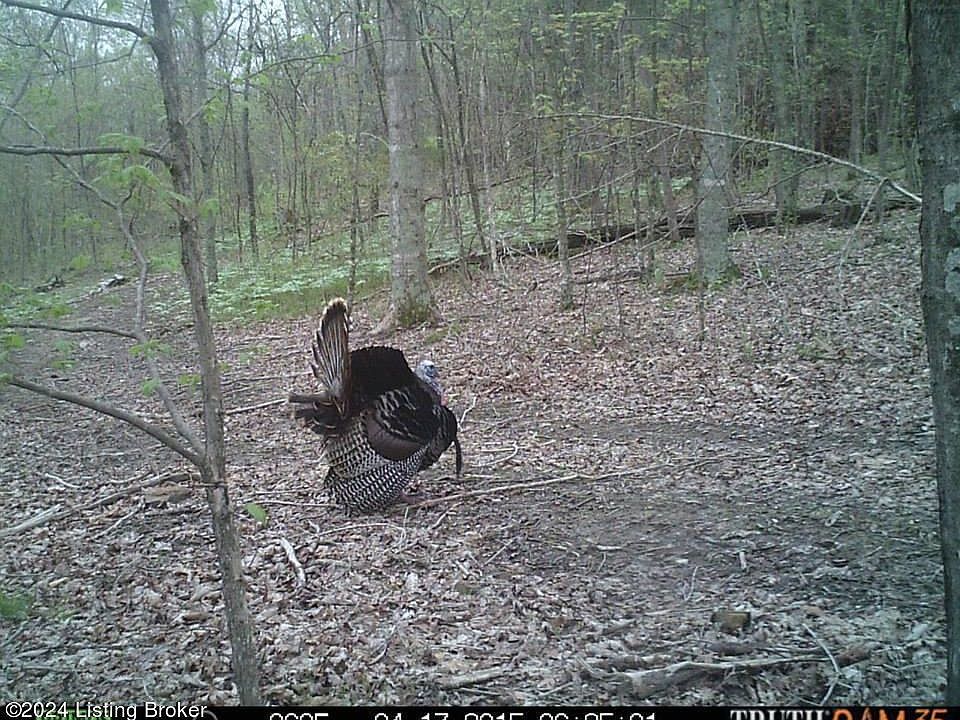 1st image of 2409 Benleo Rd