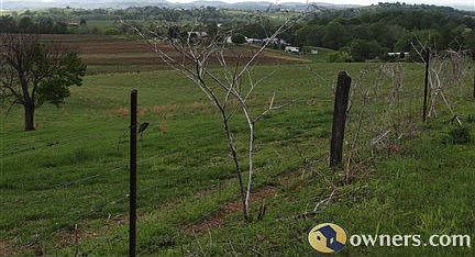 View from top of the road across the property