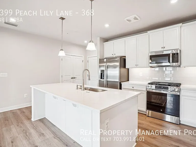 4399 Peach Lily Ln #368 — Photo 5