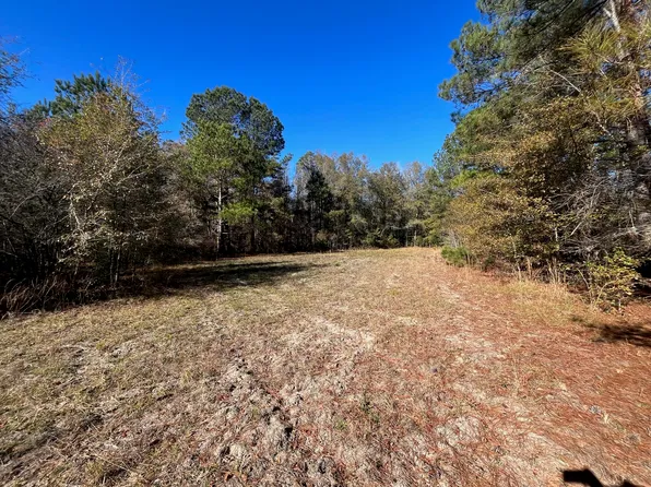 Bent Gate Ln, Smoaks, SC 29481