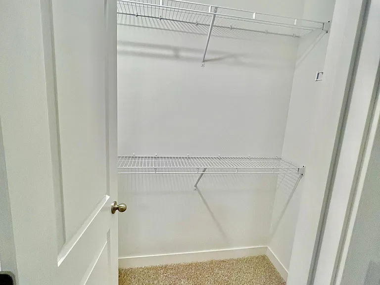 11204 Balsam Pointe Trl — Photo 68