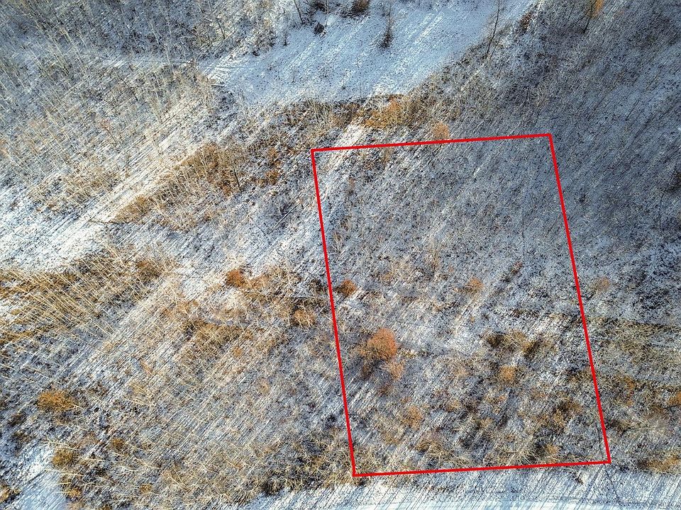 1st image of Honey Tree Voyager Vlg Lot 11