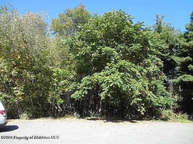 2nd image of 7 Blueberry Hill Rd