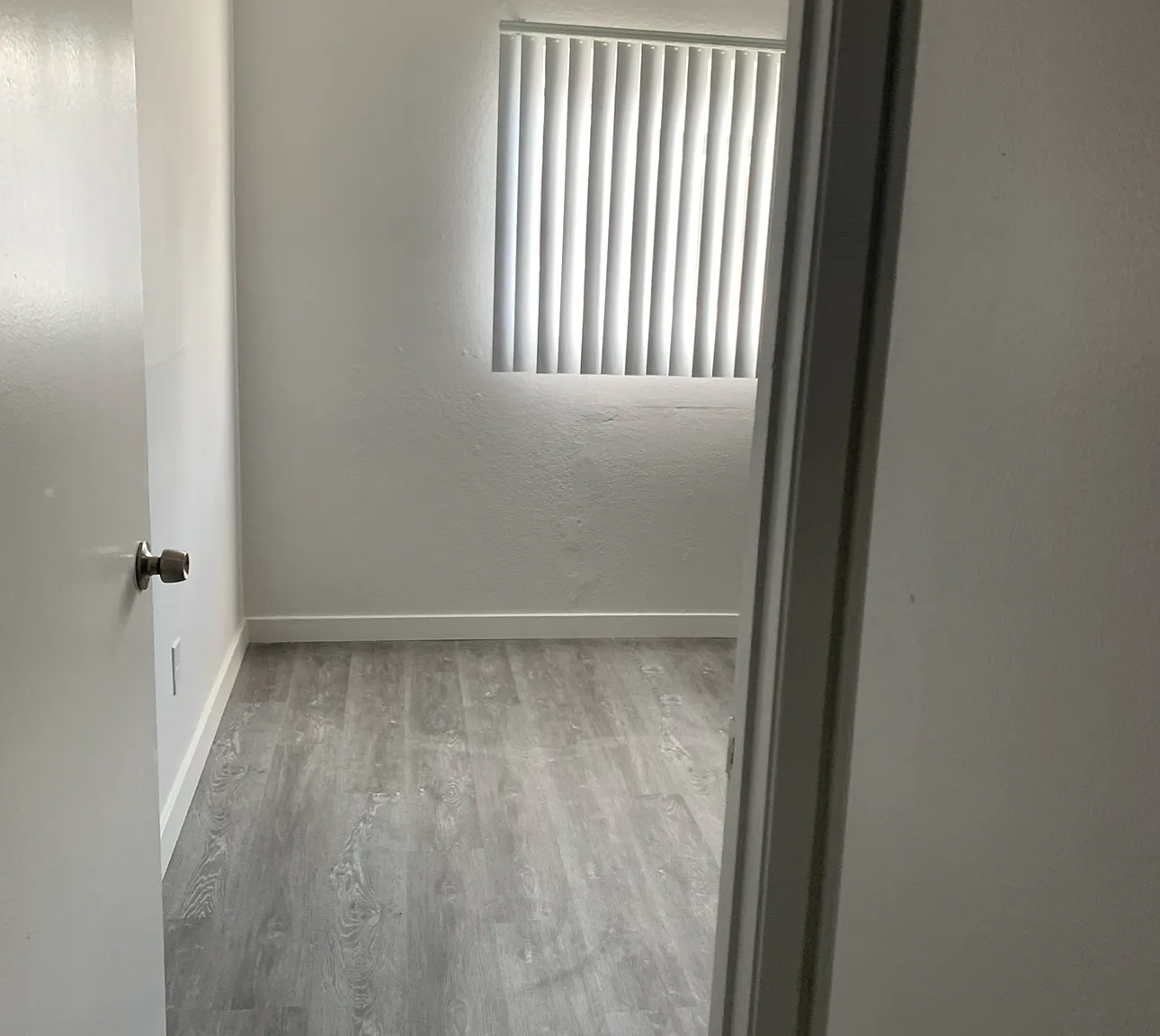 Monte Vista Manor Apartment — Photo 4
