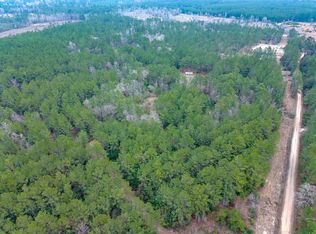 209 Joskey Dykes Rd, Zavalla, TX 75980