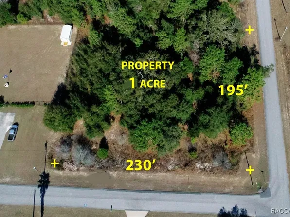 5595 E Bella Ln, Inverness, FL 34452