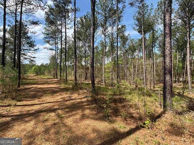0 Parks Mill Ln, Buckhead, GA, 30625