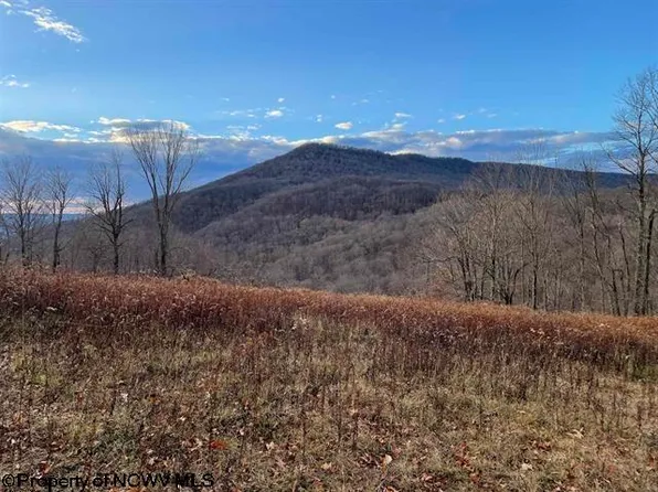 0 Pointy Knob Rd, Davis, WV 26260