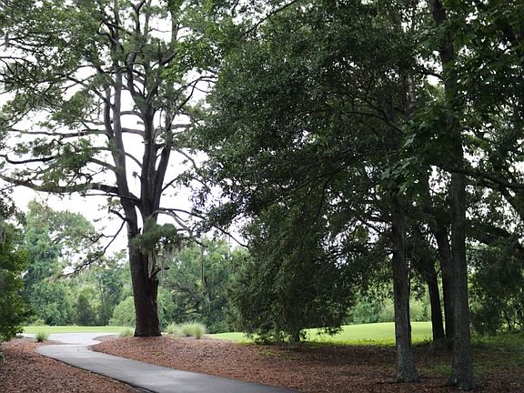 5th image of 4526 Hope Plantation Dr