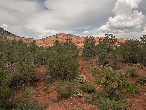 Bordering National Forest
