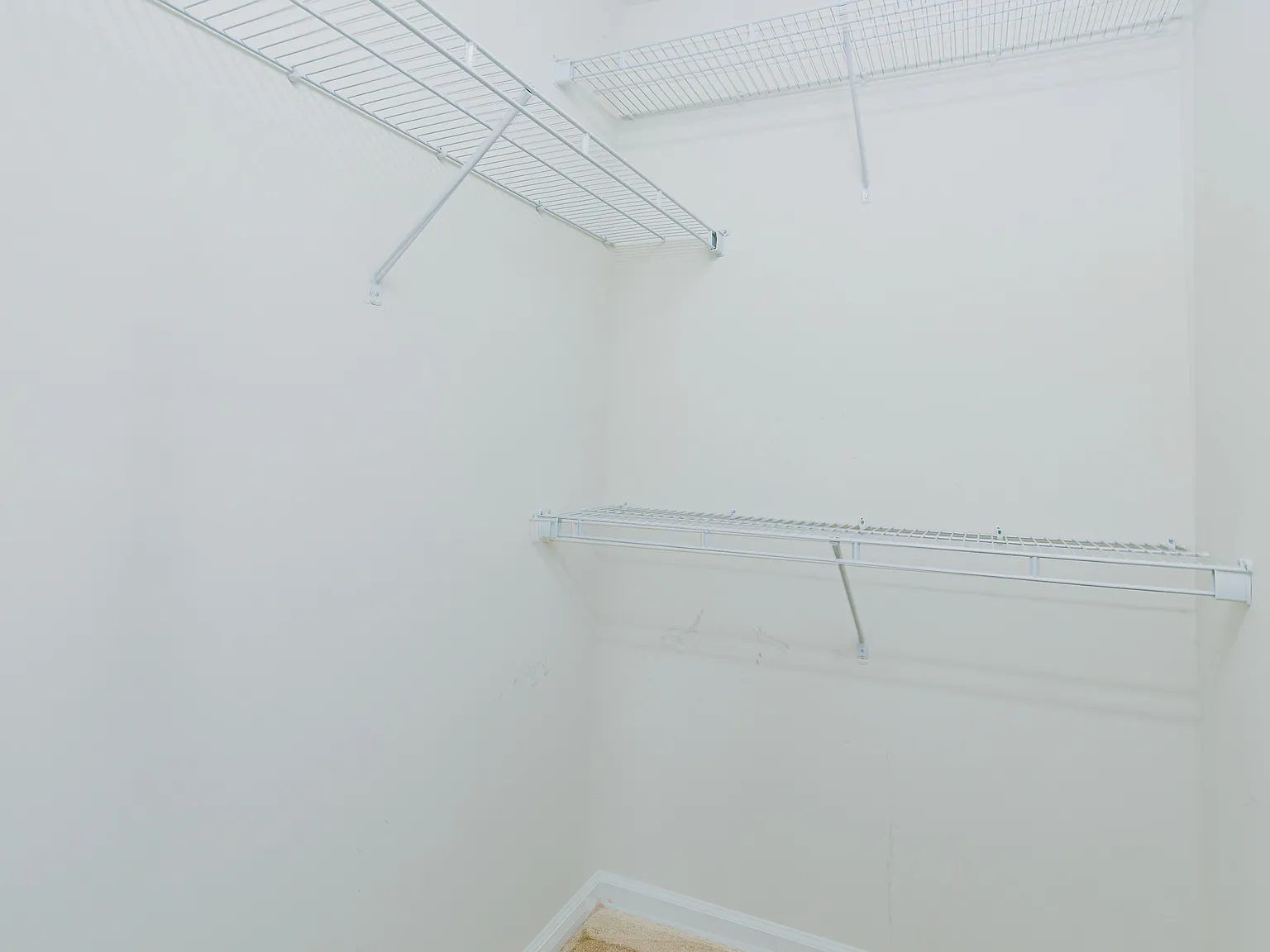 2 bed, 1155 sqft, $1,395 — Photo 1