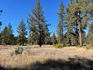 LOT 18 Pyramid Peak Rd, Mountain Center, CA, 92561