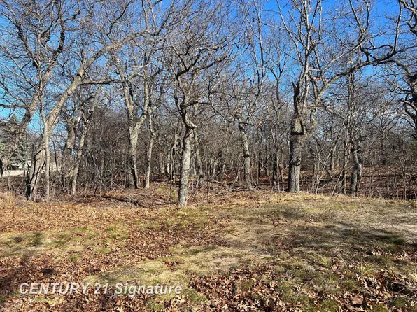 Crescent Beach Rd, Pigeon, MI 48755