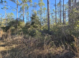  NE 452nd St, Old Town, FL 32680
