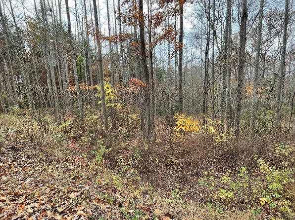 20 Hamilton Rd, Blairsville, GA 30512