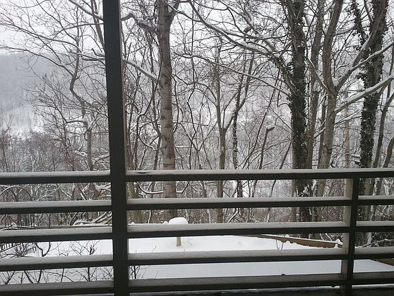 View in winter 