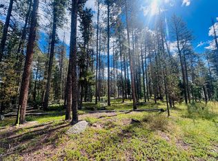 Lot 2M Vickery Ave, Conifer, CO 80433