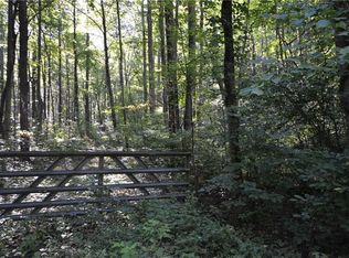 0 Dickerson Dr, Ellijay, GA 30536