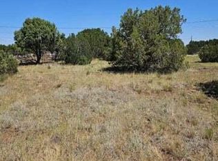 8576 Red Fox Ln #315, Show Low, AZ 85901