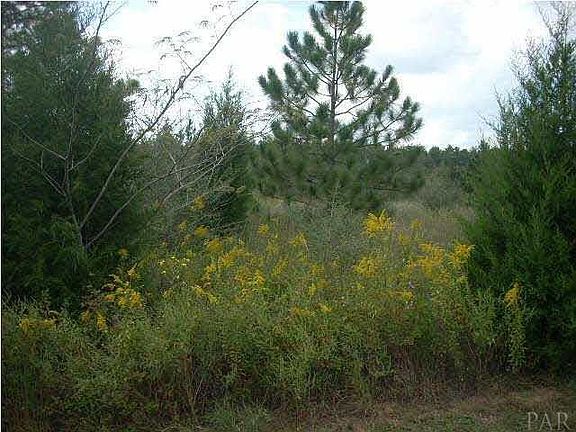 4th image of 5201 Santa Gertrudas Dr