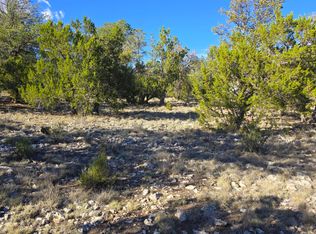 2947 E Lookout Ln #339, Overgaard, AZ 85933