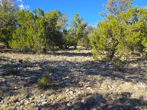 2947 E LOOKOUT Lane #339, Overgaard, AZ 85933