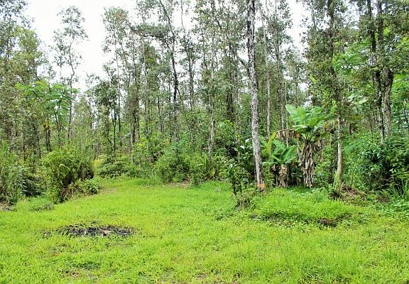 3rd image of 14-3431 Plumeria Rd Lot 161