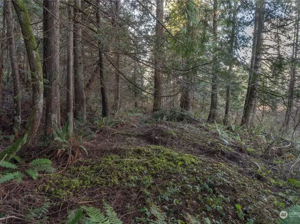 0 Trout Lane, Brinnon, WA 98320