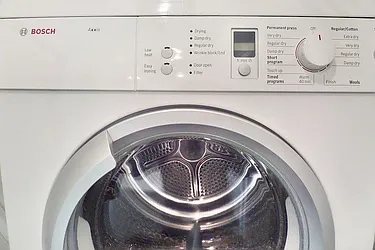 Rented by Bold New York